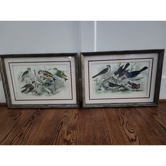 Vintage Song Bird Animal Framed Color Picture Wall Home Decor Print 15 x 21" - Picture 5 of 6